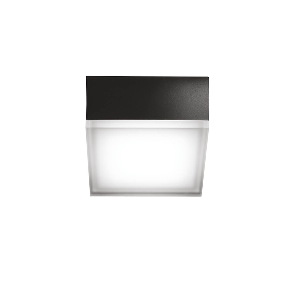 1425/1426 LED Wand- / Deckenleuchte