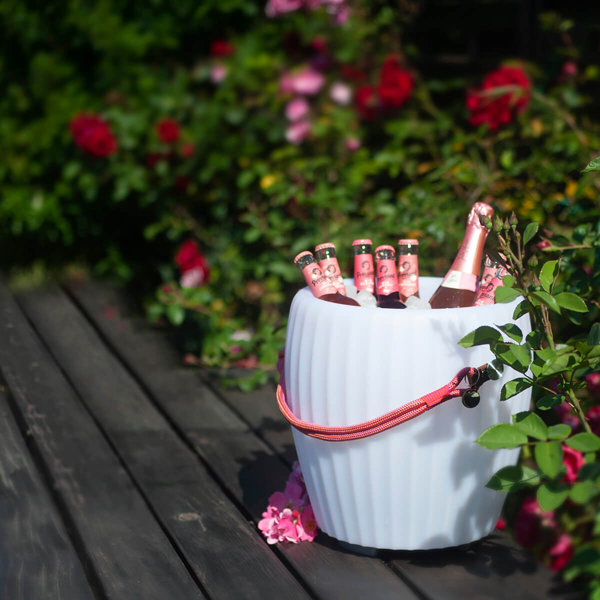 Joouls The Joouly Tauwerkgriff, pink / orange, mit der The Joouly Bowl L (separat erhältlich) (©Leuchtenland.com)