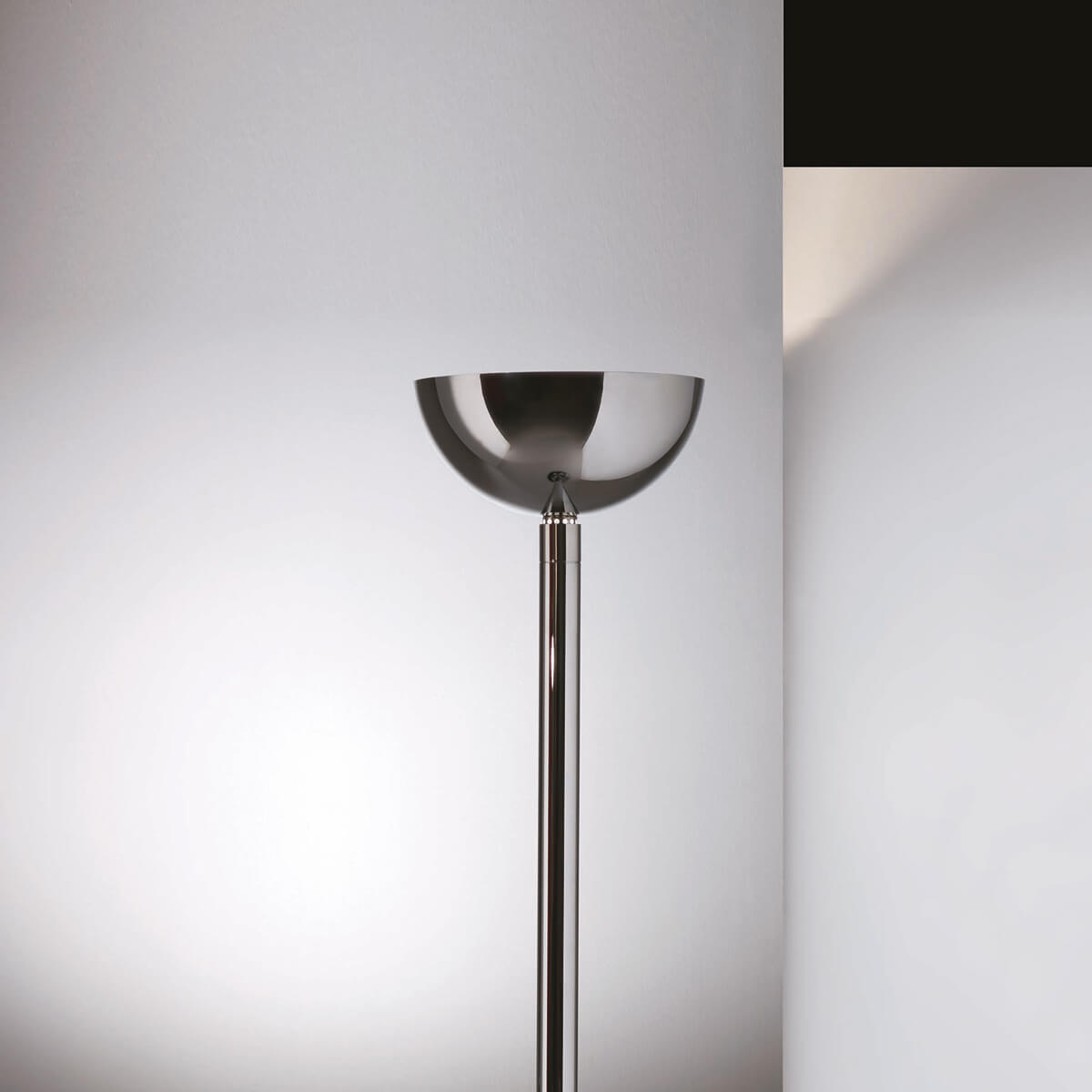 Nemo AM2Z Terra, Chrom