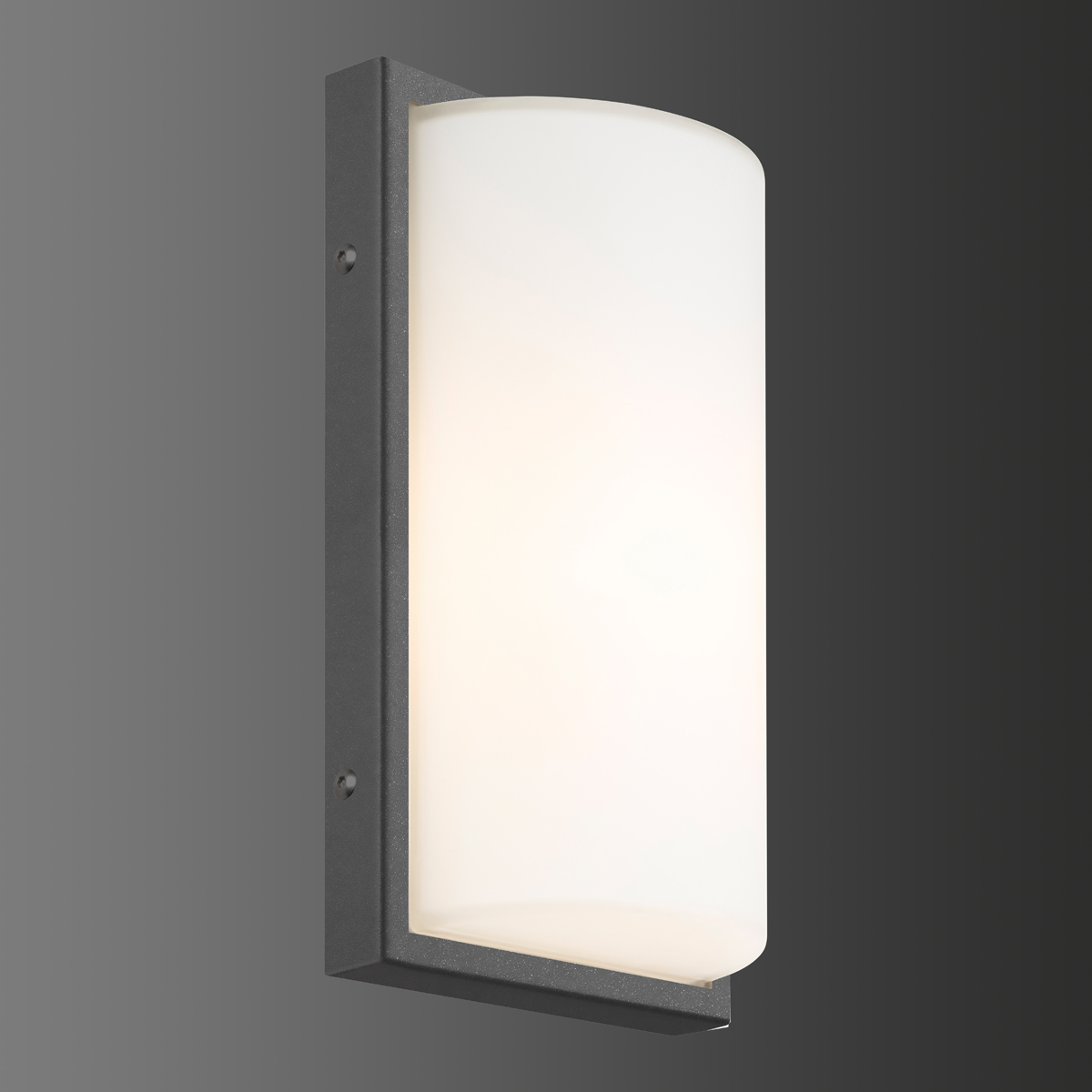 039 LED Wandleuchte