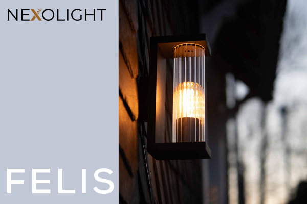 Nexolight Felis outdoor wall light with glass rods and warm light on a classic house facade