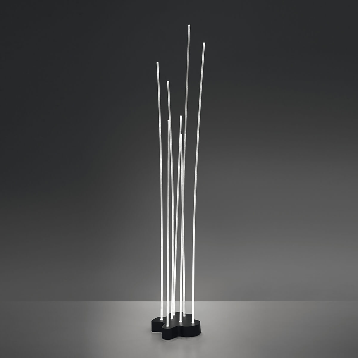 Artemide Outdoor Reeds Outdoor IP68 LED Terra ohne Vorschaltgerät, anthrazitgrau