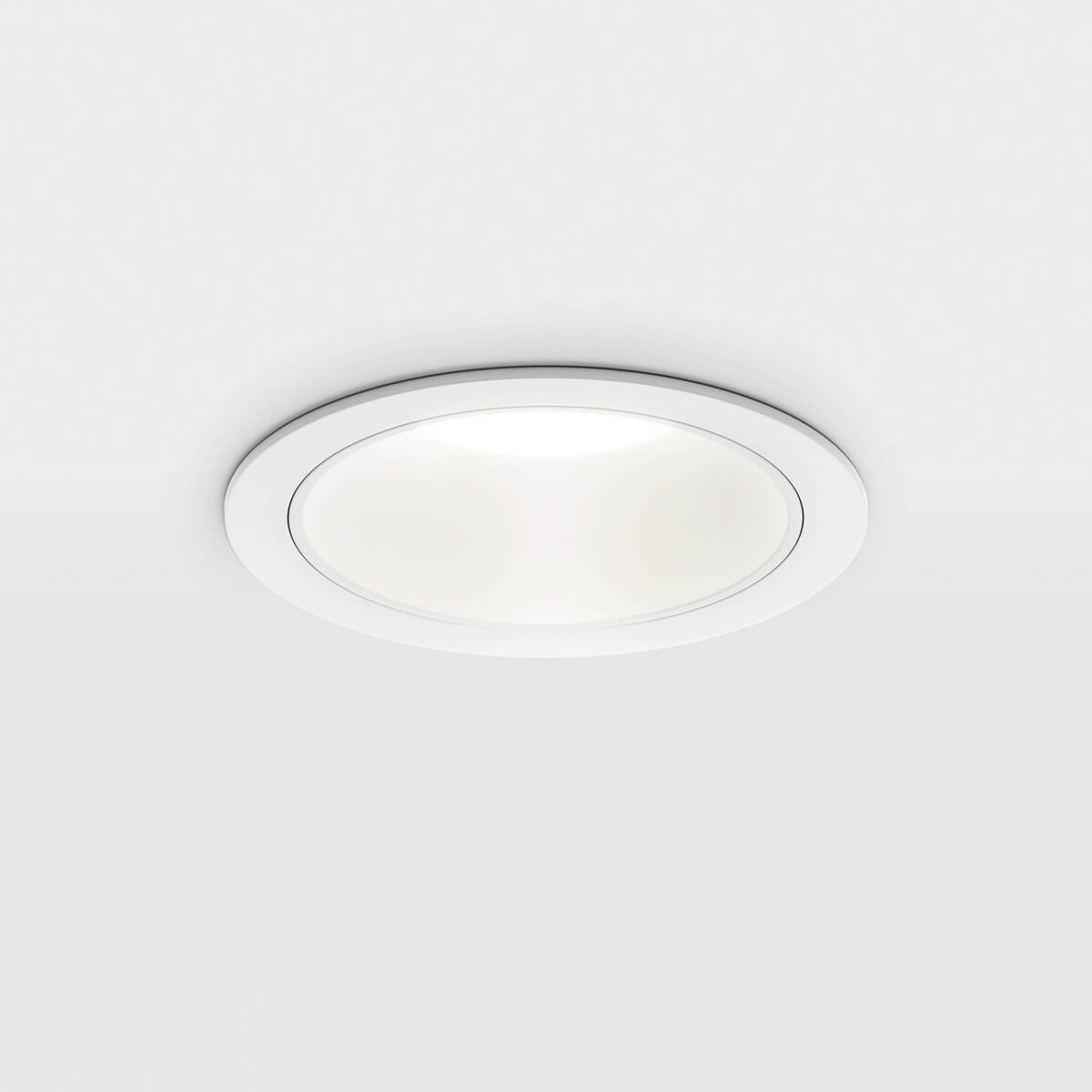 white (white)