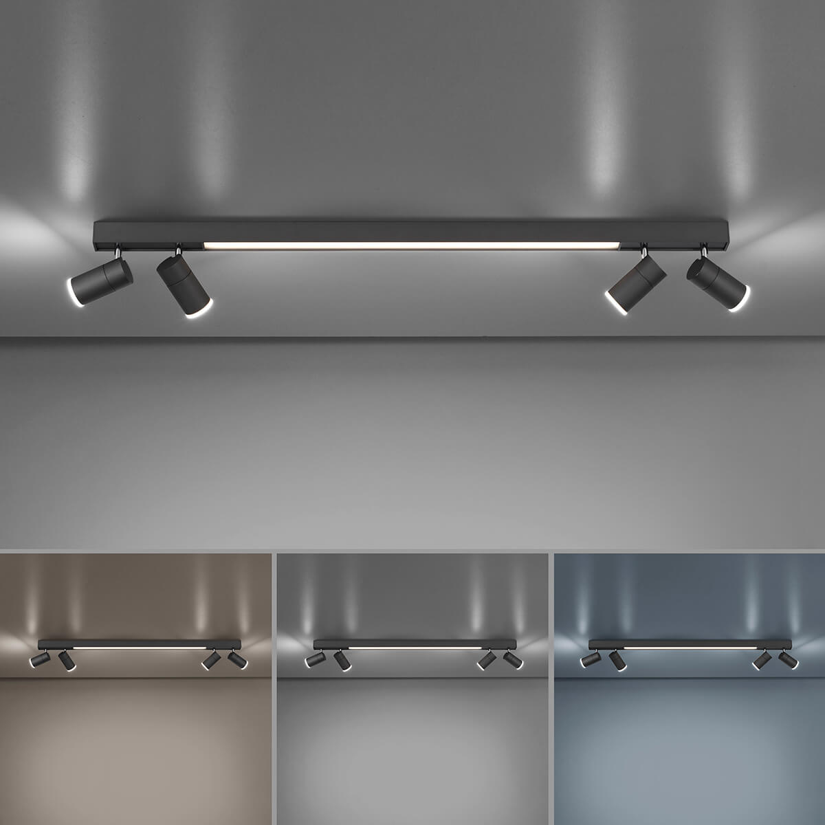 Neuhaus PURE Lines Spot LED Deckenstrahler, schwarz (2.700-5.000 Kelvin)