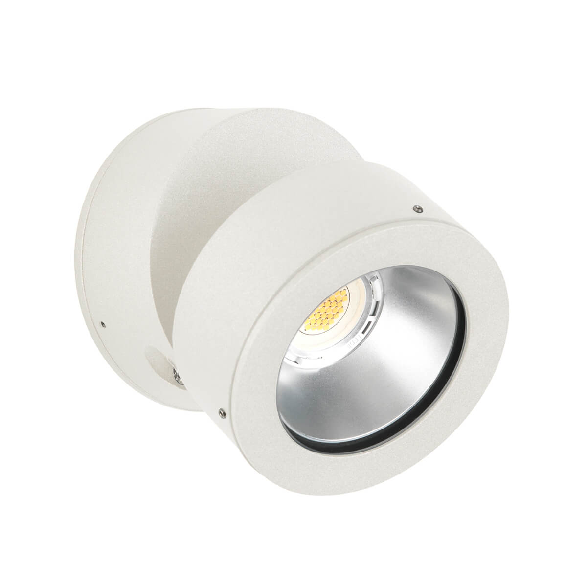 2389 LED Wand- / Deckenstrahler