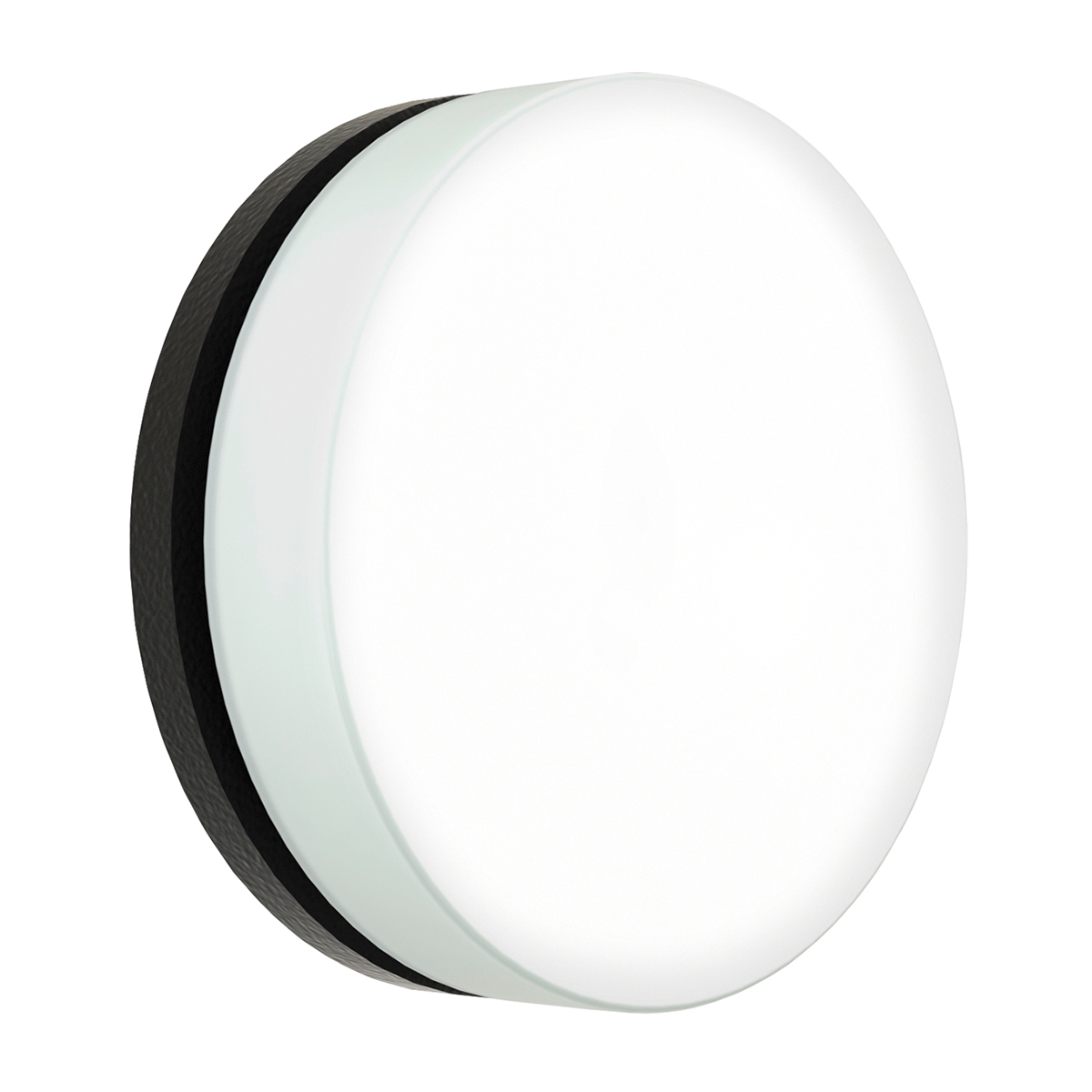 Albert Leuchten 6309 LED Wand- / Deckenleuchte C, Ø: 31 cm, schwarz