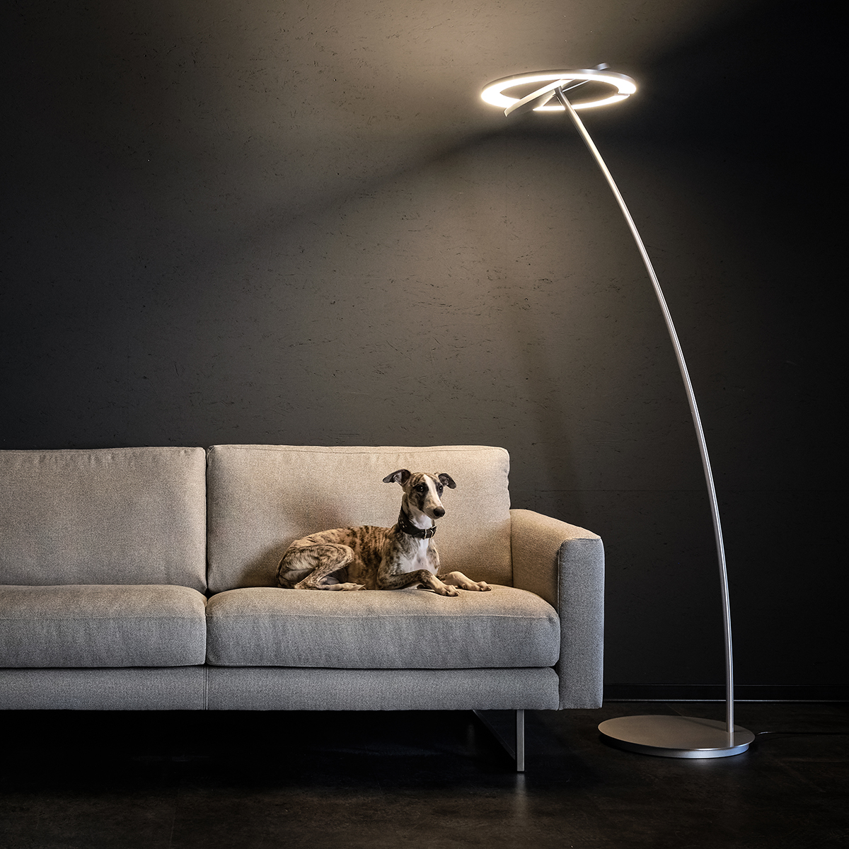 Holtkötter Supernova DW LED Deckenfluter, Aluminium matt