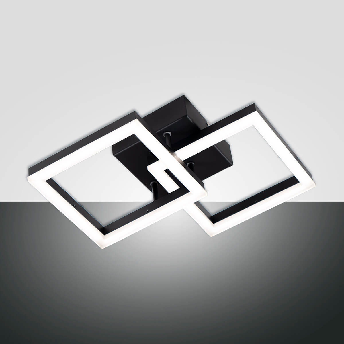 Fabas Luce Bard 3394-28 LED Wand- / Deckenleuchte, schwarz
