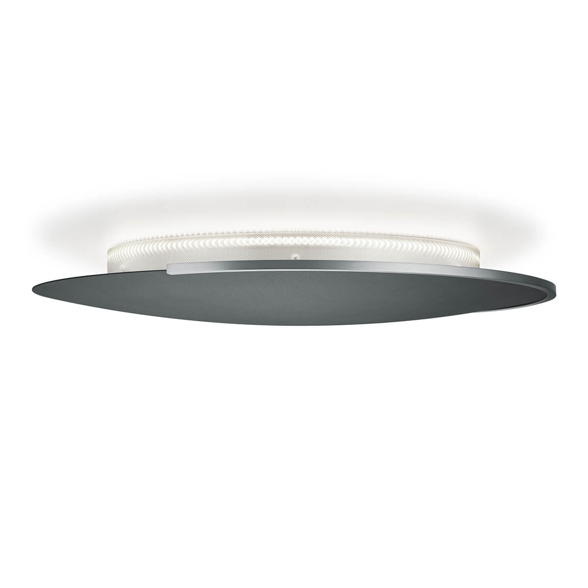 Knapstein Astra-C-60 LED Wand- / Deckenleuchte, mit Casambi, schwarz metallic / mattnickel