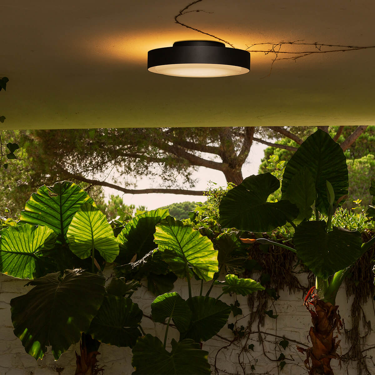 Marset Plaff-on! IP54 LED Wand- / Deckenleuchte, Ø: 50 cm, schwarz