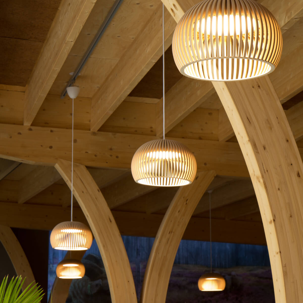 Secto Design Atto 5000 Pendelleuchte, Birke natur, Kabel: weiß