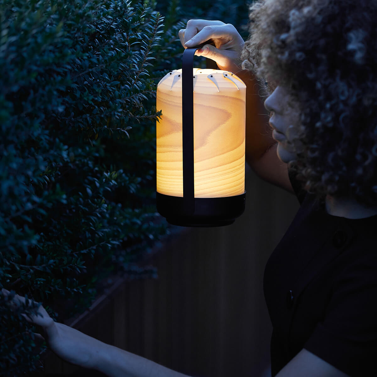 LZF Lamps Mini Chou LED Akkuleuchte, Buche