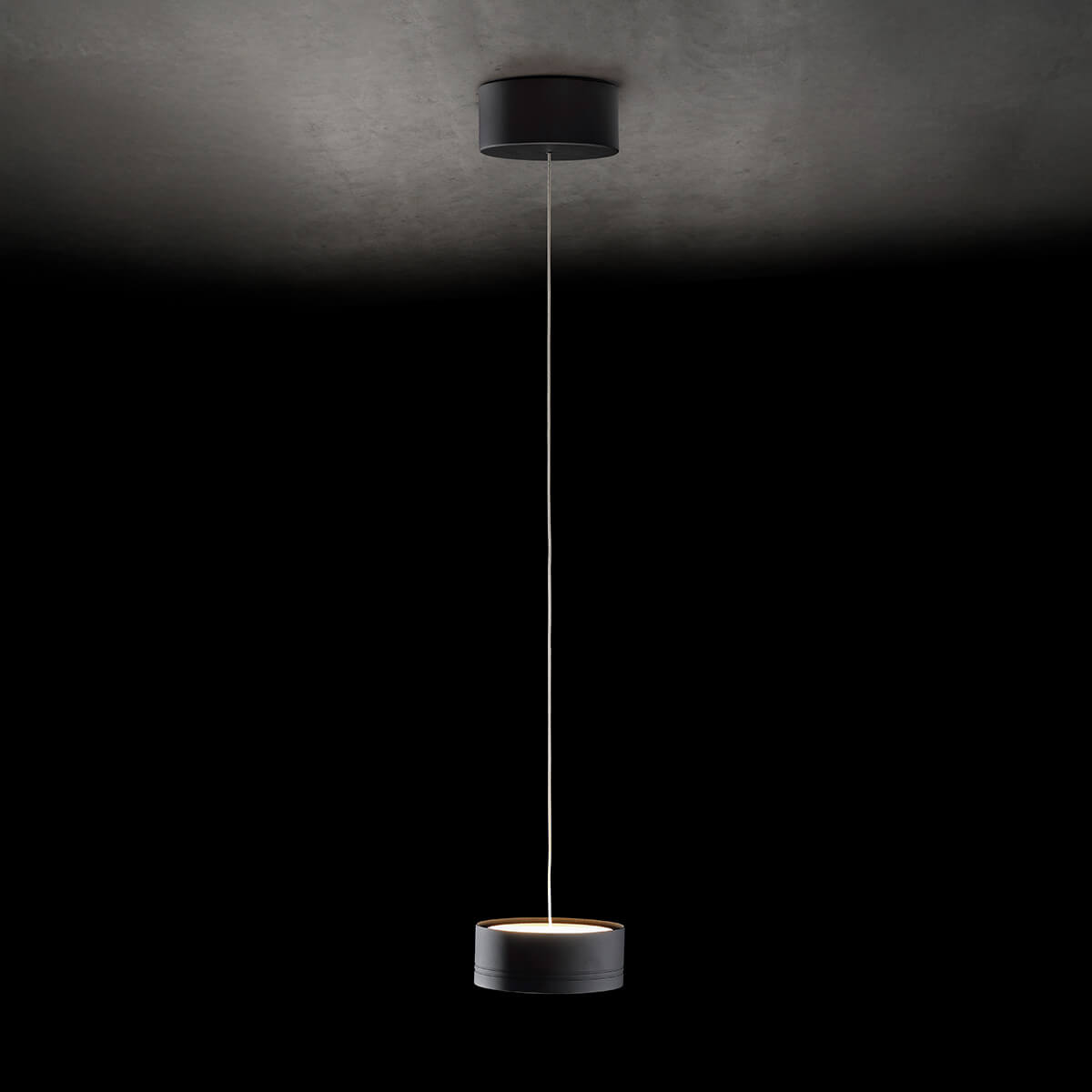 Holtkötter Favor LED Pendelleuchte, 1-flg., schwarz