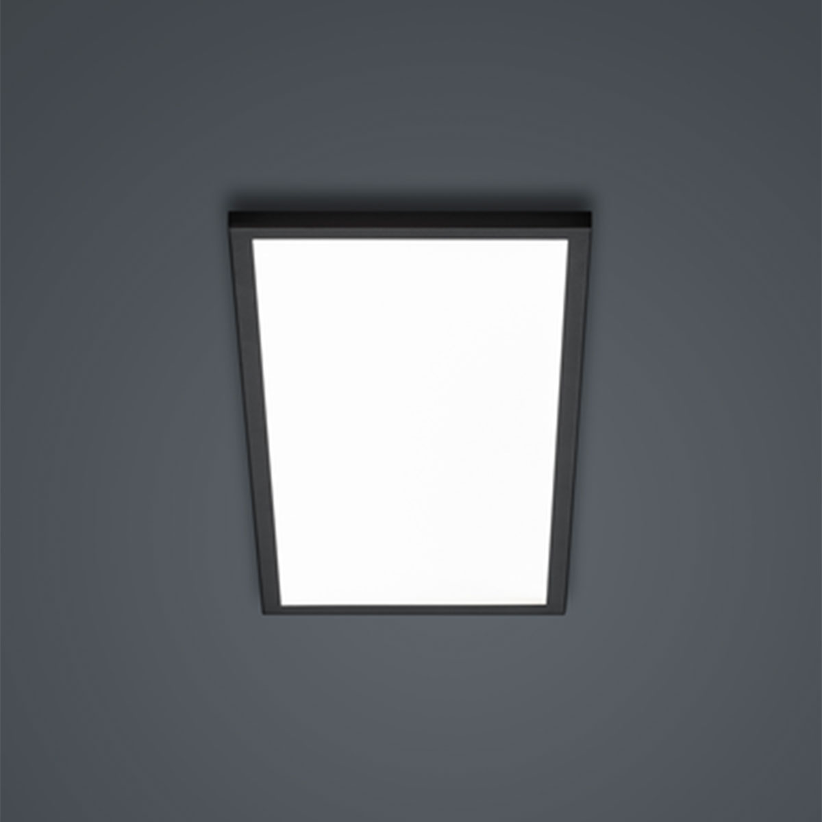 Helestra Rack LED Deckenleuchte, 61 x 26 cm, schwarz matt