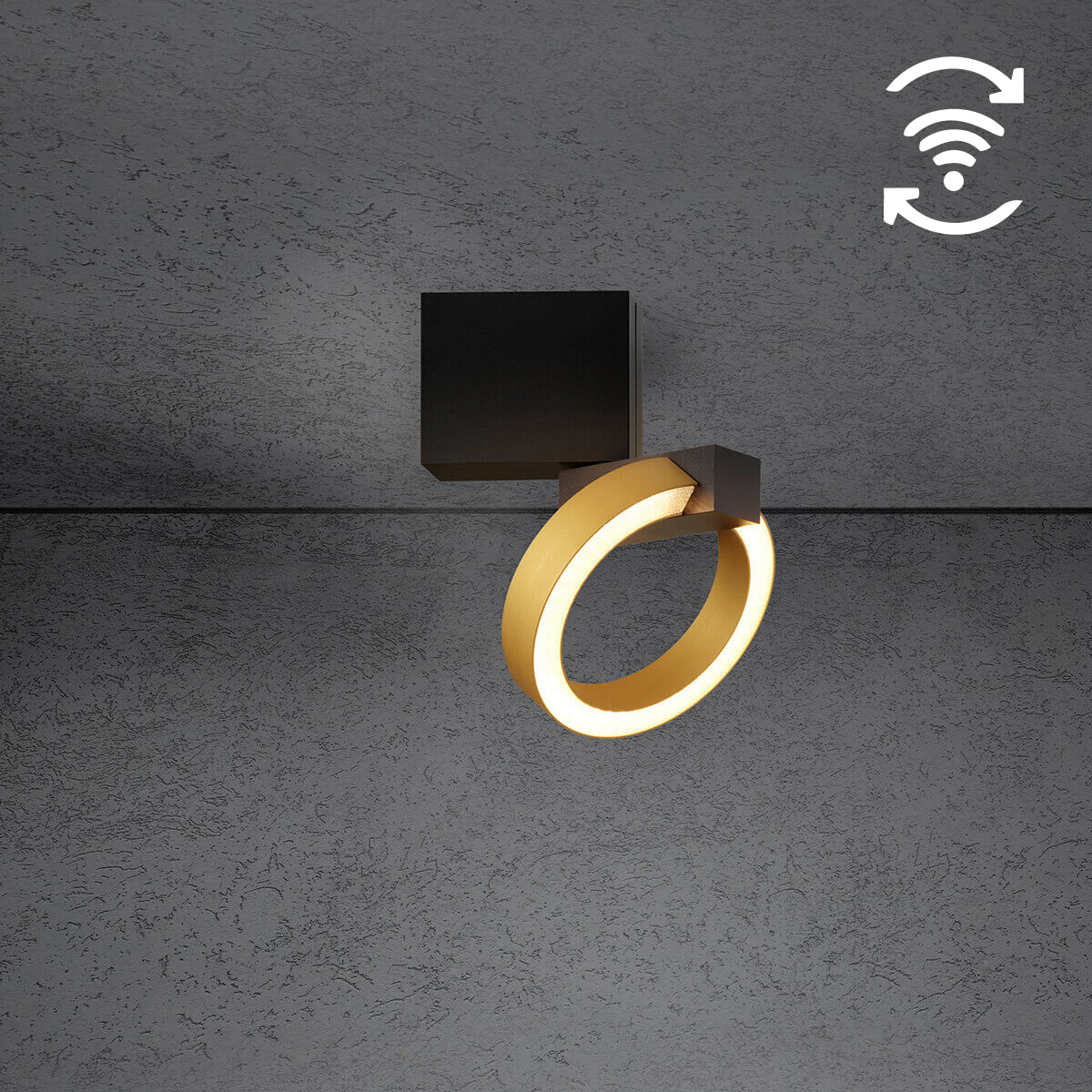 schwarz / Gold eloxal