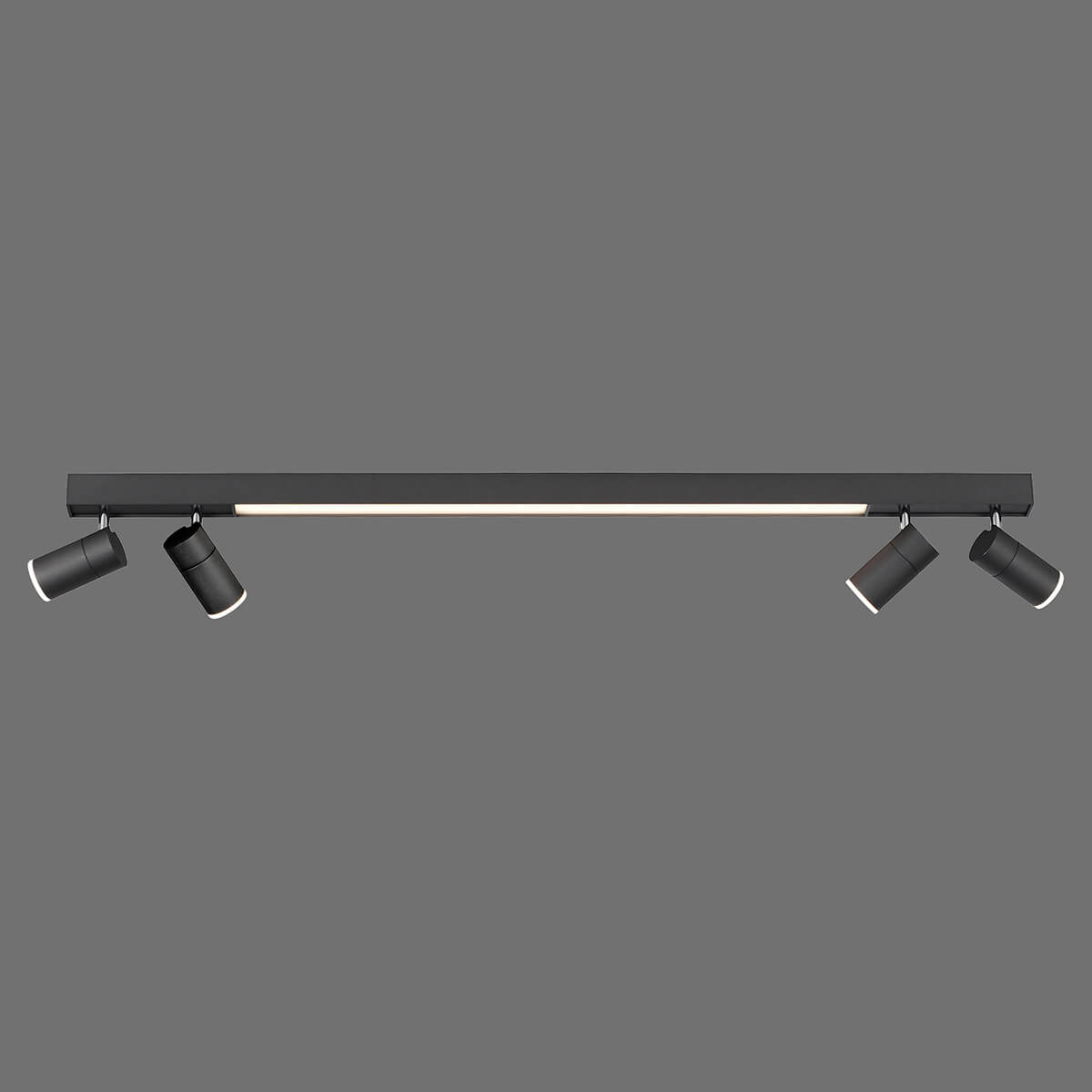 Neuhaus PURE Lines Spot LED Deckenstrahler, anthrazit