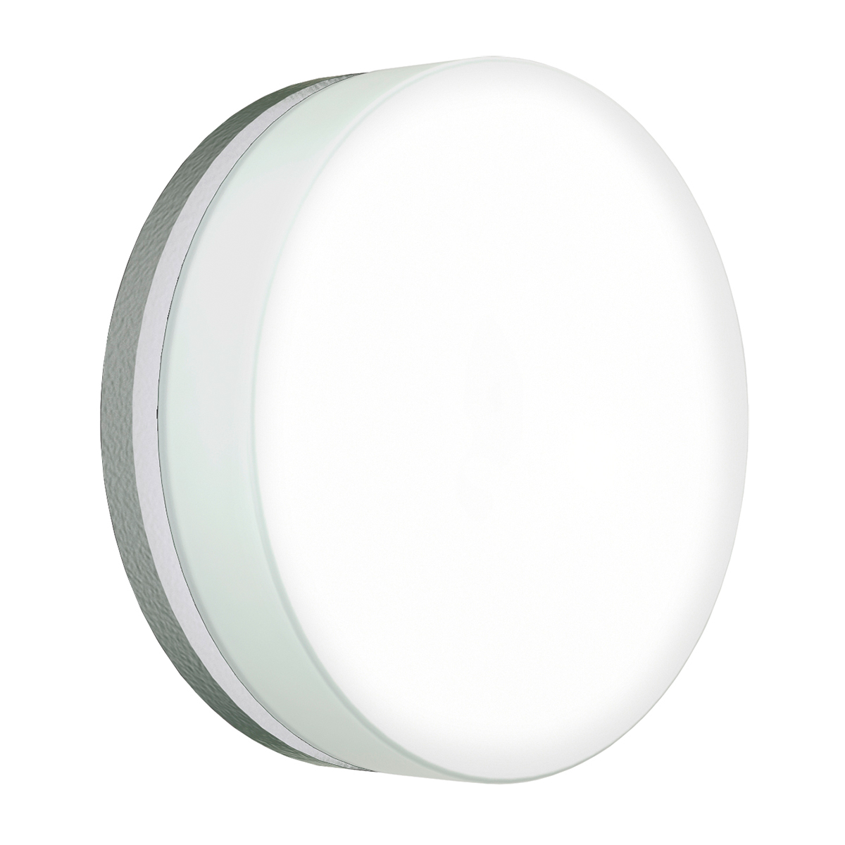 Albert Leuchten 6309 LED Wand- / Deckenleuchte C, Ø: 31 cm, Silber