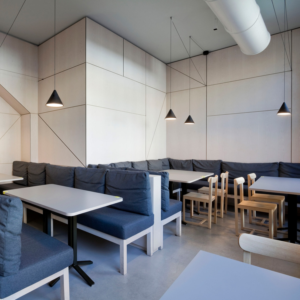 Flos String Light Cone LED Pendelleuchte, App Control, schwarz, mit String Light Wand- / Deckenrosette, schwarz (als Zubehör erhältlich) (©Germano Borrelli)