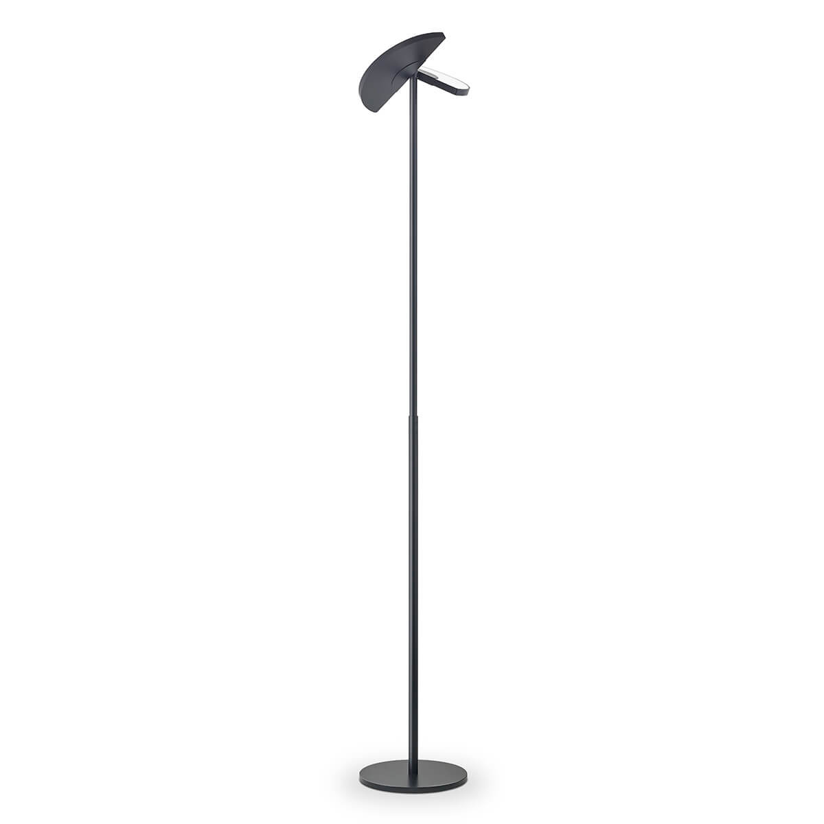 Talea LED Deckenfluter