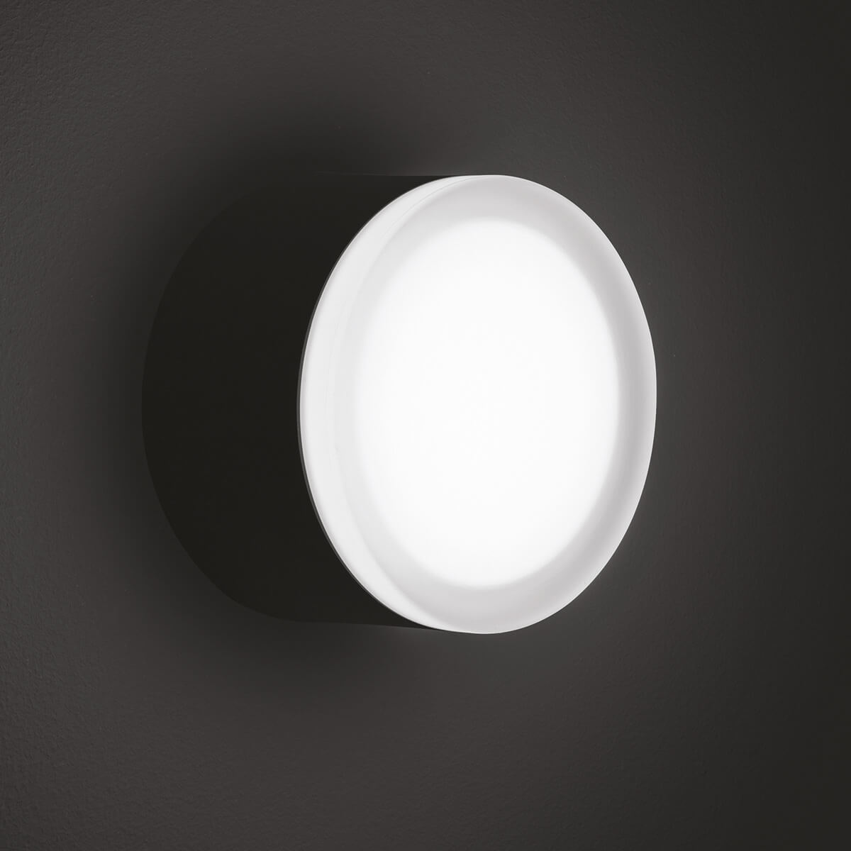 1420/1421 LED Wand- / Deckenleuchte
