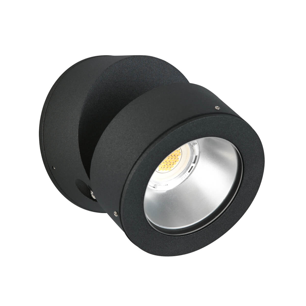 2389 LED Wand- / Deckenstrahler