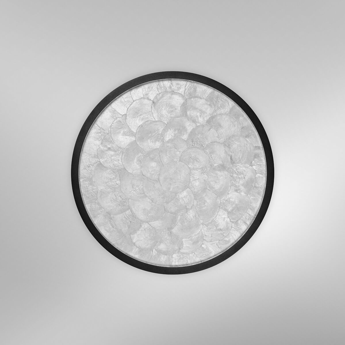 Shell LED Wand- / Deckenleuchte