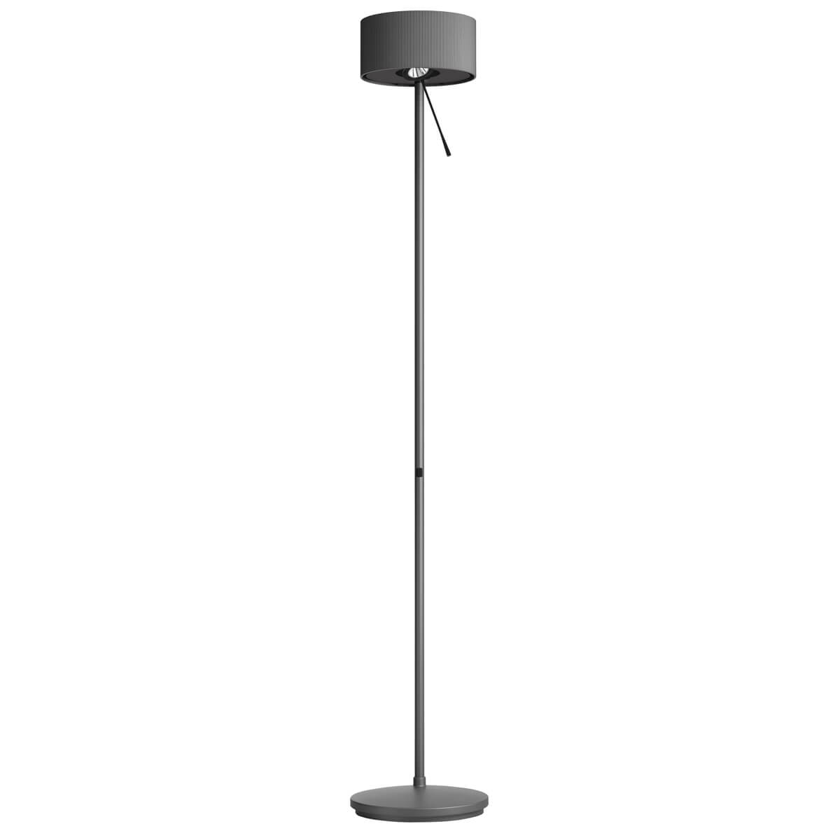 Belux Diogenes LED Stehleuchte, graphitschwarz