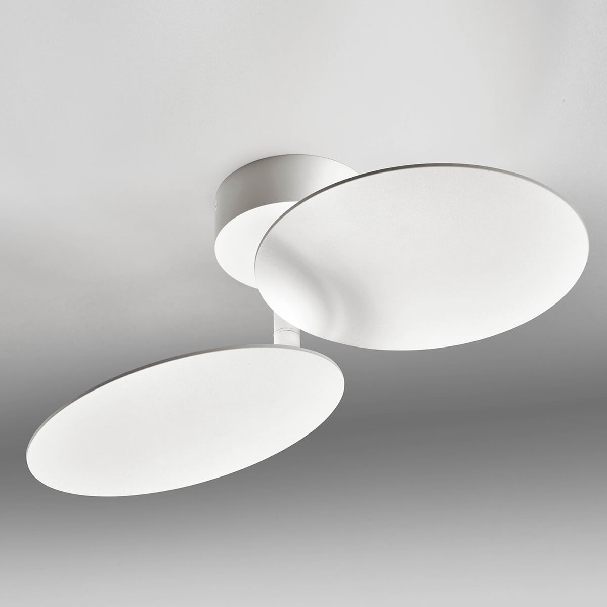 Plate 2 LED Wand- / Deckenleuchte