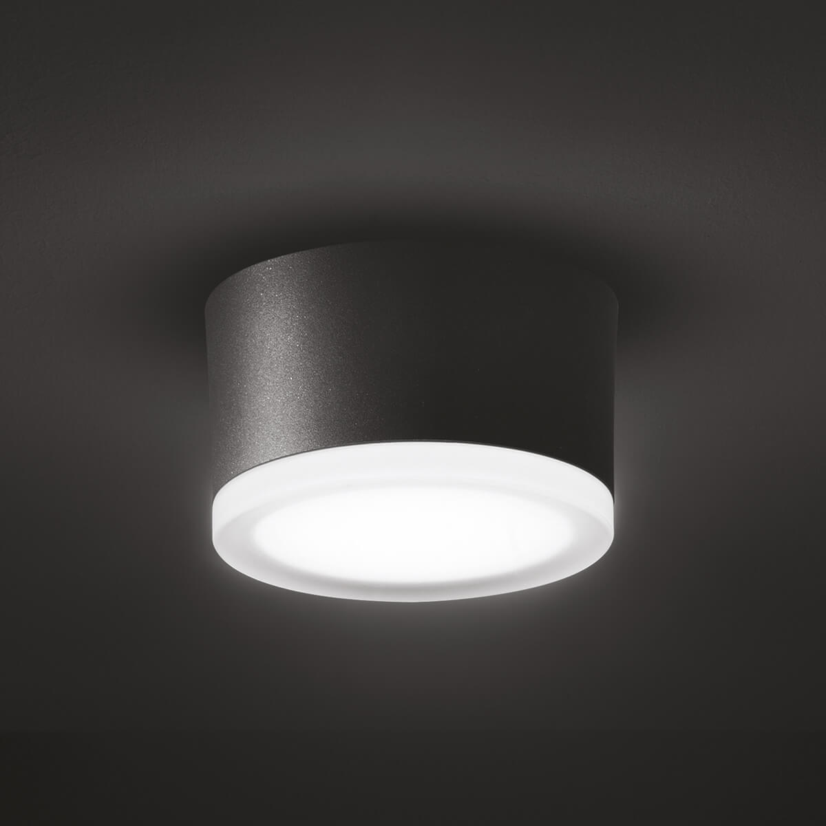 1420/1421 LED Wand- / Deckenleuchte