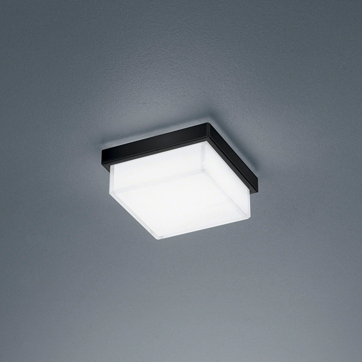Helestra Cosi LED Wand- / Deckenleuchte, 11 x 11 cm, schwarz matt / Glas satiniert