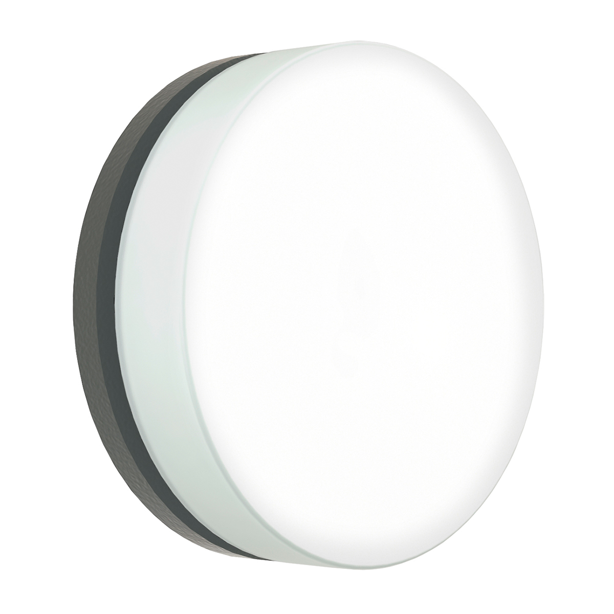 Albert Leuchten 6309 LED Wand- / Deckenleuchte C, Ø: 31 cm, anthrazit