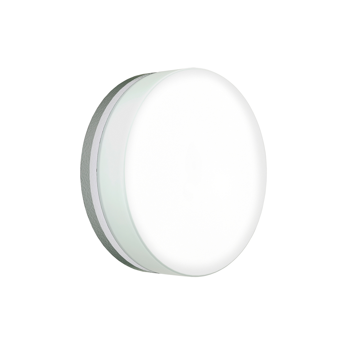 Albert Leuchten 6307 LED Wand- / Deckenleuchte A, Ø: 19 cm, Silber