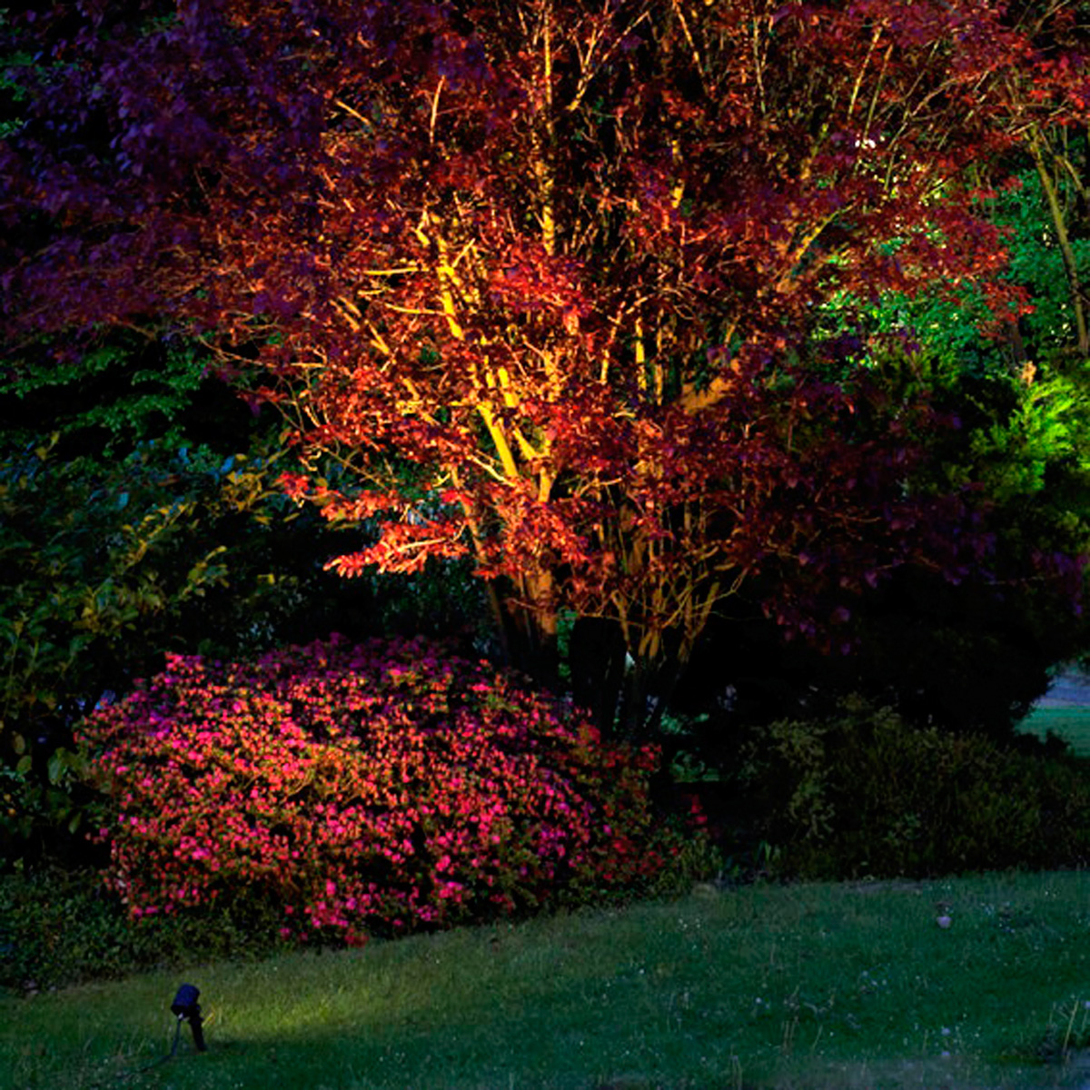 Albert Leuchten 2197 Spießstrahler, schwarz