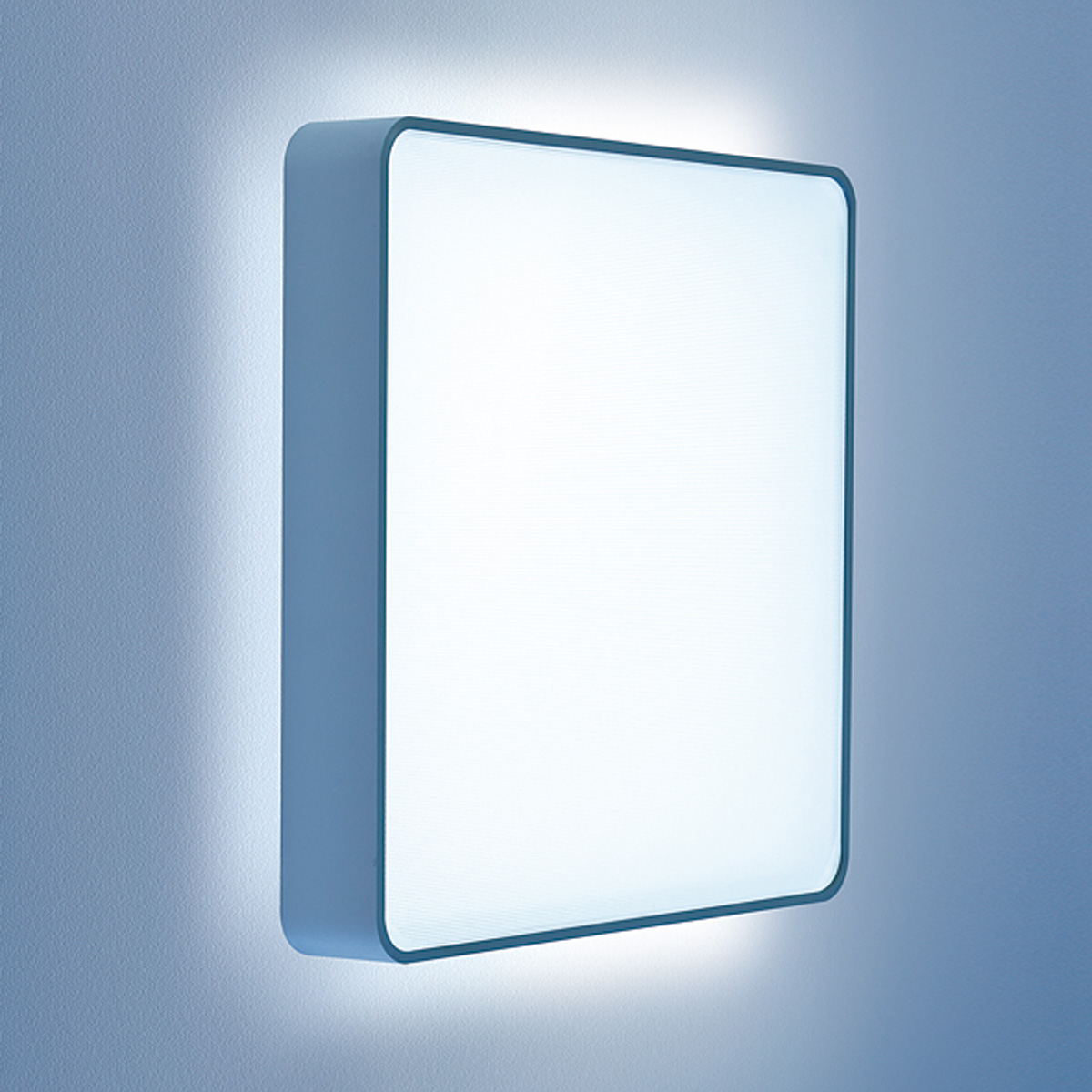 Lightnet Caleo-X2 Wand- / Deckenleuchte, Opal, Silber matt