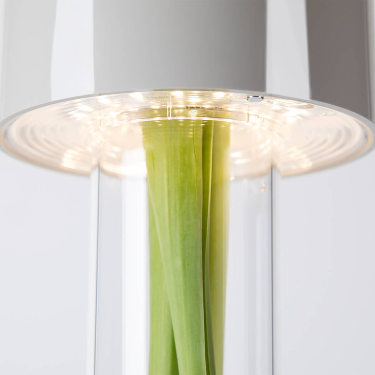 Foscarini Fleur LED Tavolo Akkuleuchte & Vase, bianco (weiß) (©Leuchtenland.com)