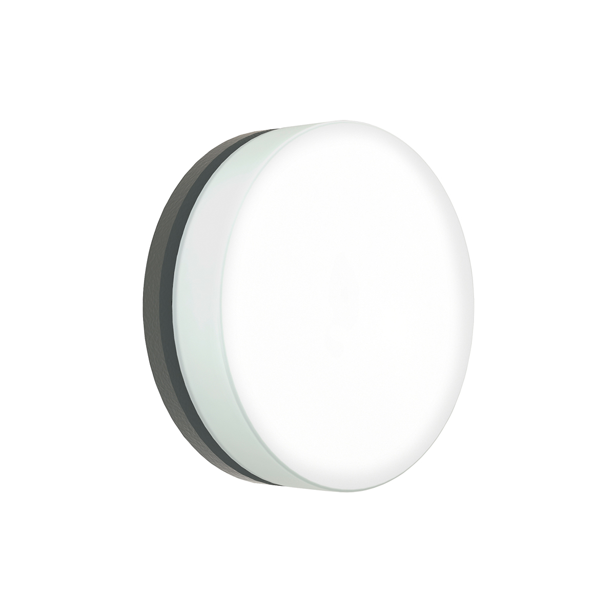 Albert Leuchten 6307 LED Wand- / Deckenleuchte A, Ø: 19 cm, anthrazit