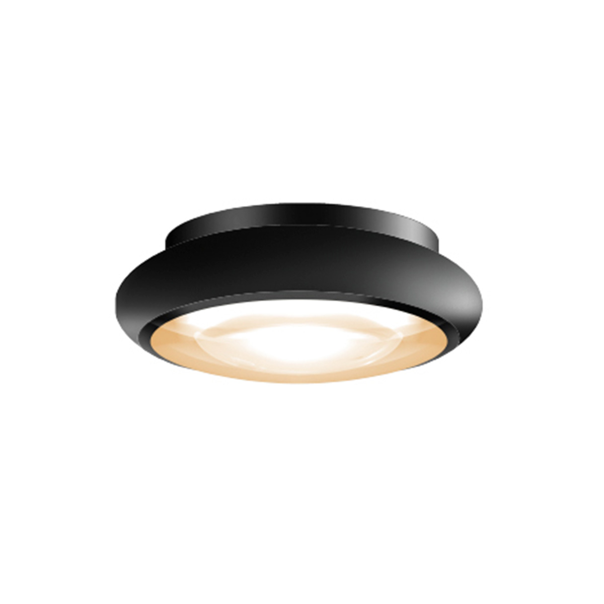 Bruck Blop Fix 60° LV C-R LED Deckenaufbauleuchte, schwarz