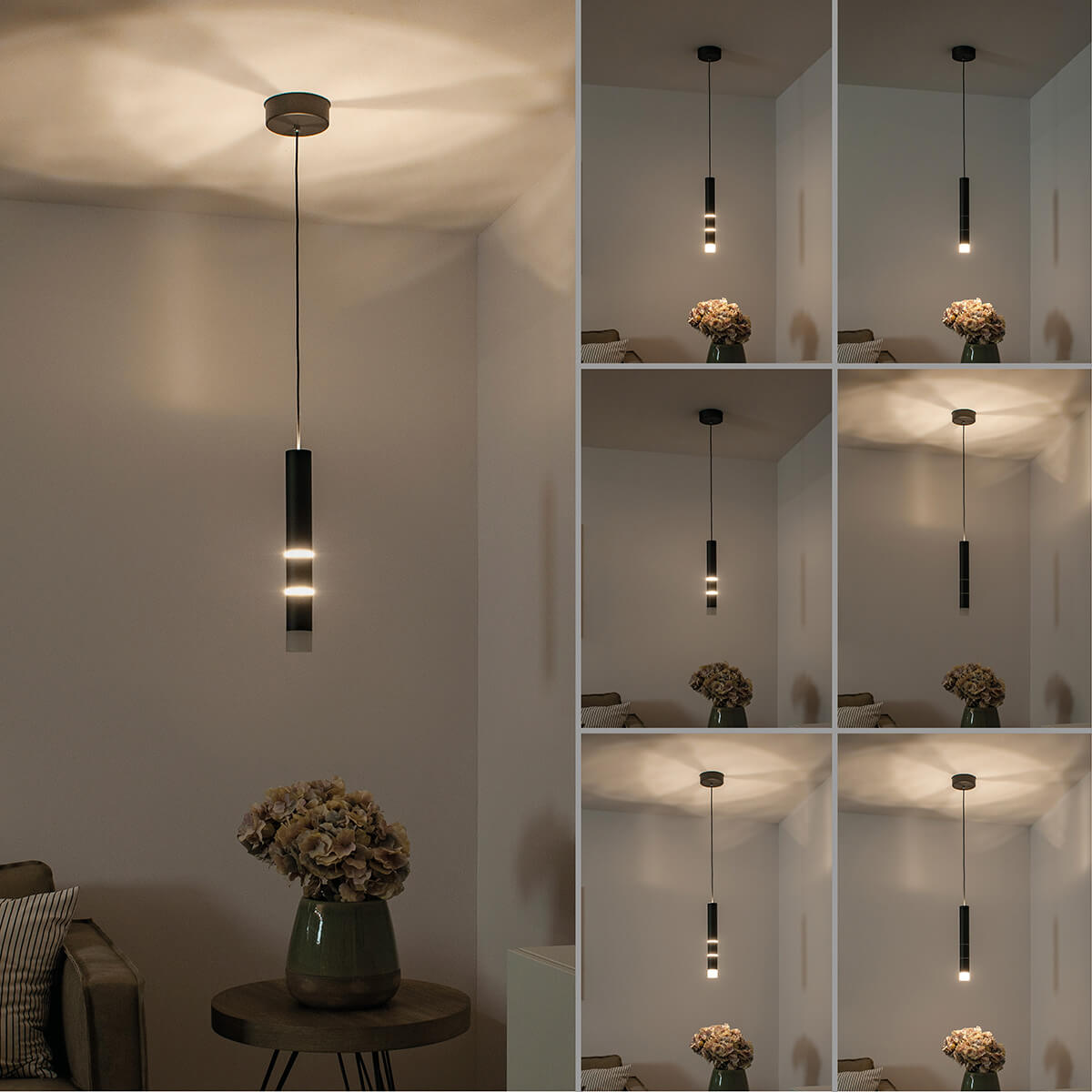 Neuhaus PURE Vega LED Pendelleuchte, 1-flg., schwarz, versch. Lichtwirkungen möglich (manuell einstellbar)