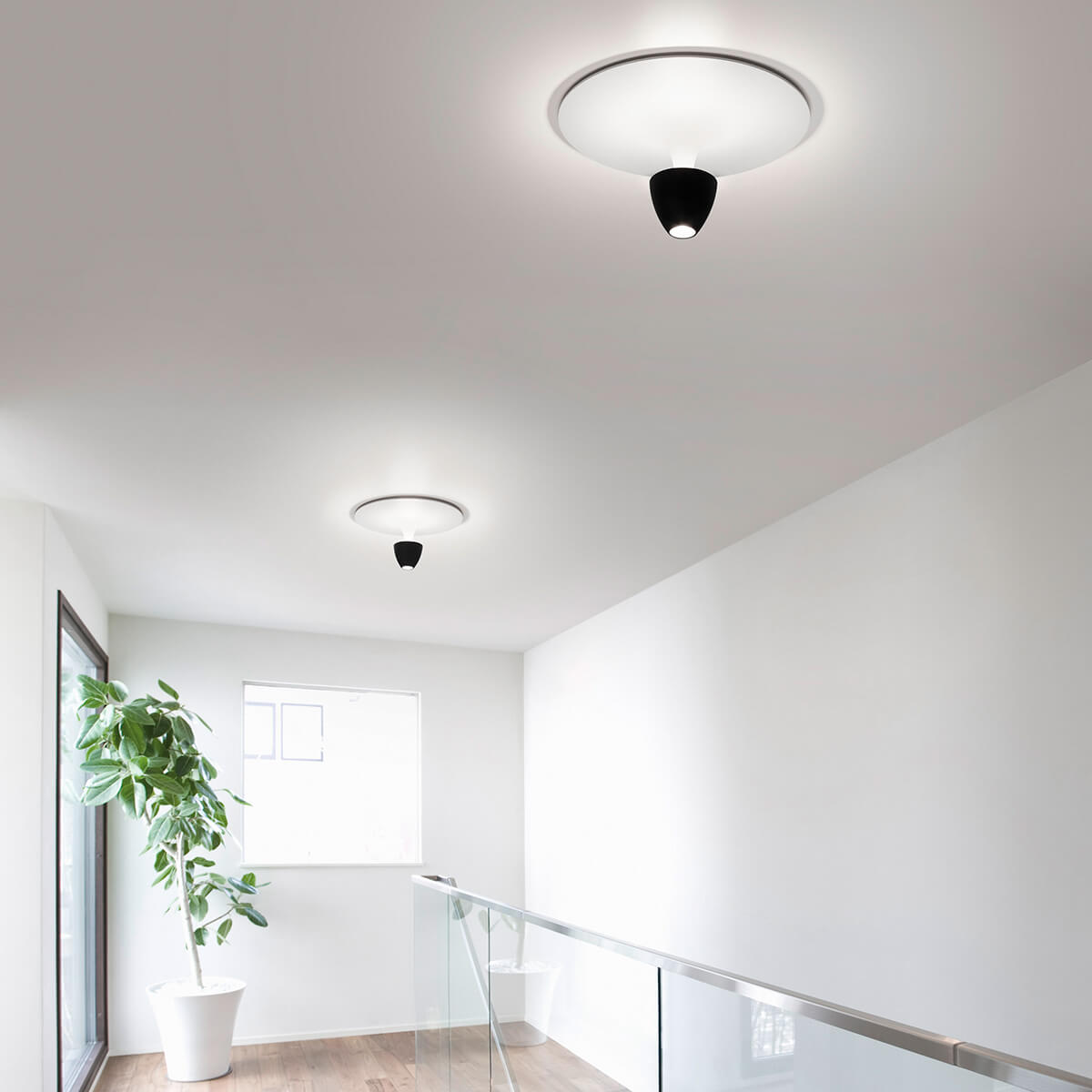 Helestra Redo LED Deckenleuchte, Ø: 30 cm, schwarz / weiß