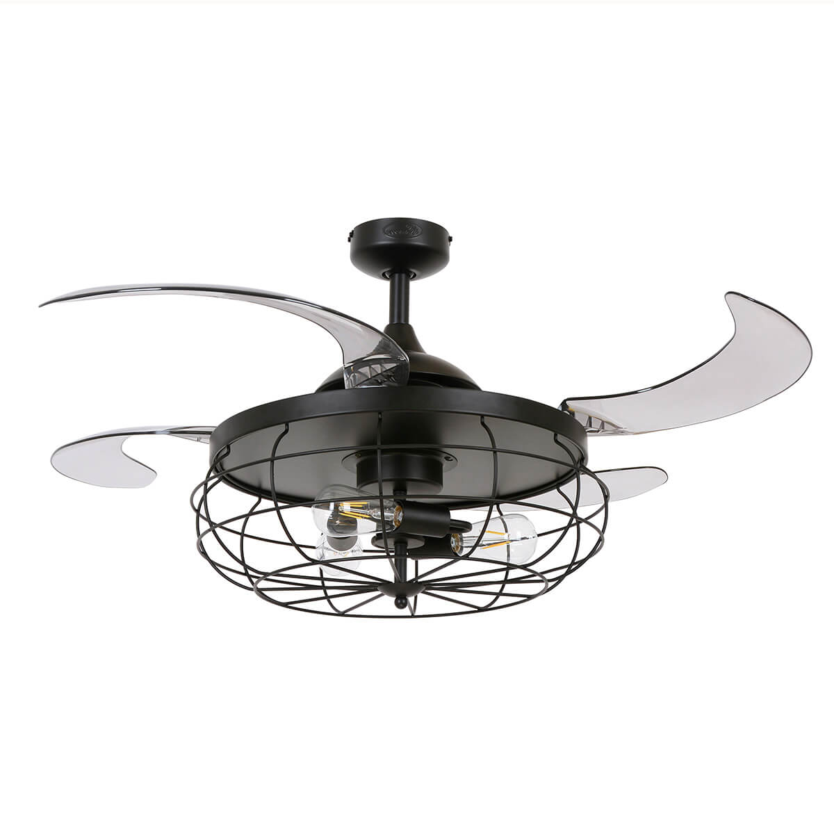 Antique black, wings: smoke transparent