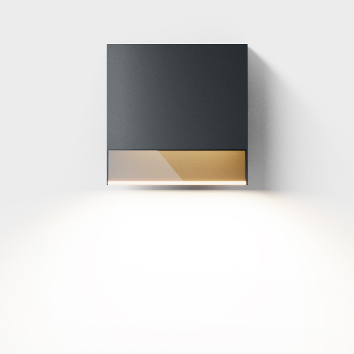 IP44.DE Li.2 LED Außenwandleuchte, anthracite (anthrazit)