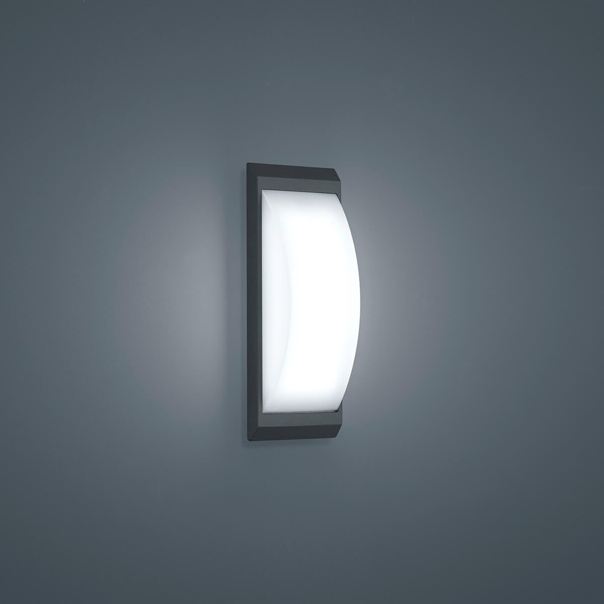 Helestra Kapo LED Außenwandleuchte, graphit