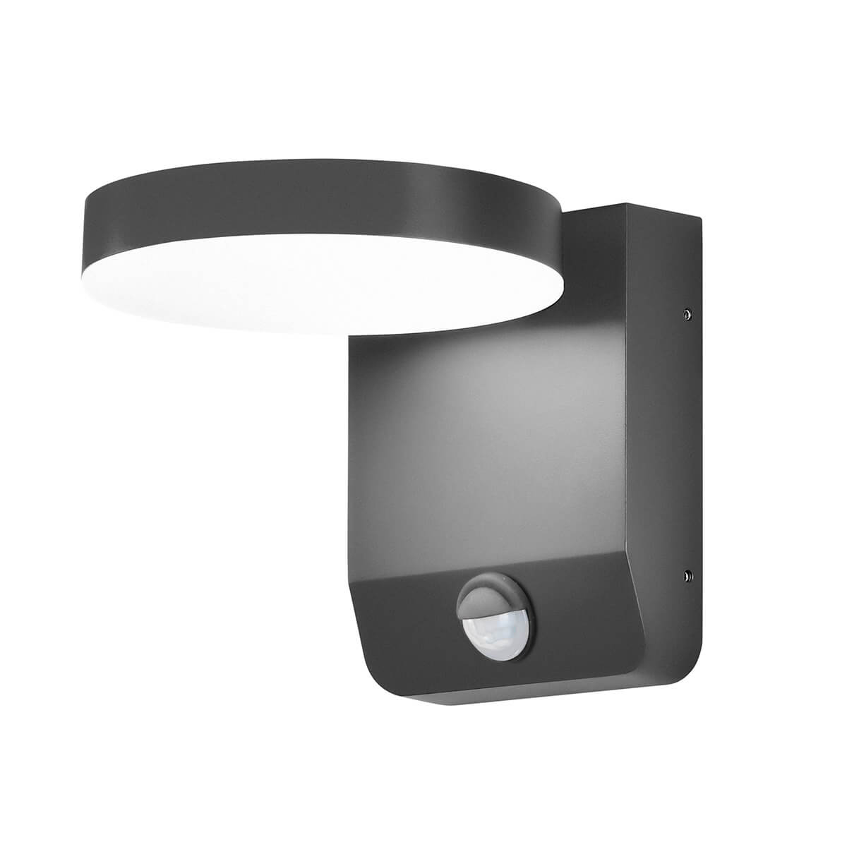 anthracite, with motion detector