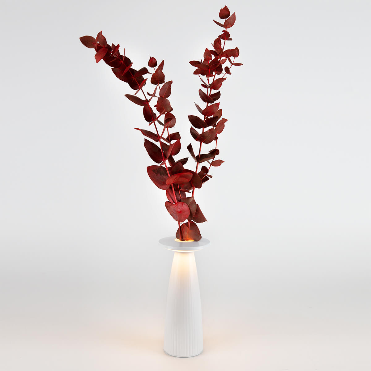 Nuflair & LED Akkuleuchte Sigor Vase