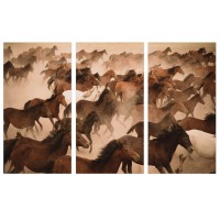 ImageLand Glasbild Digitaldruck Wildpferde II, 3er-Set, 120 x 180 cm, Digitaldruck hinter Glas