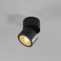Egger Licht DLS Lighting Clippo S LED Wand- / Deckenstrahler, schwarz / Gold