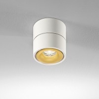 Egger Licht DLS Lighting Clippo LED Wand- / Deckenstrahler, Dim-to-Warm, weiß / Gold