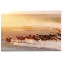 ImageLand Glasbild Digitaldruck Wildpferde I, 100 x 150 cm, Digitaldruck hinter Glas