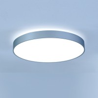 Lightnet Basic-X1 Wand- / Deckenleuchte, Opal, Silber matt