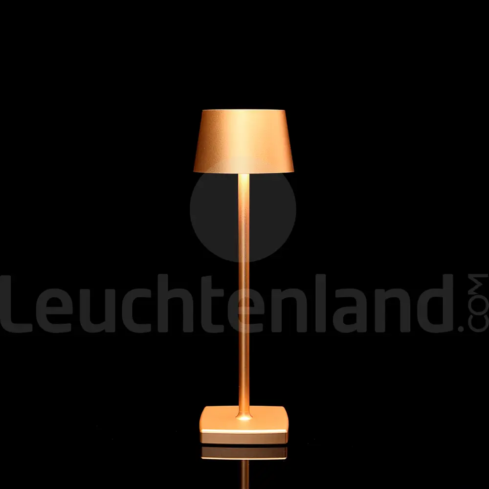 Go LED Akkuleuchte